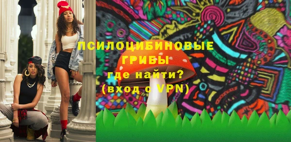 крисы Арсеньев