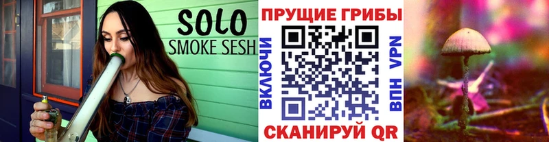 Купить закладки  Сосновоборск  Псилоцибиновые грибы Cubensis 